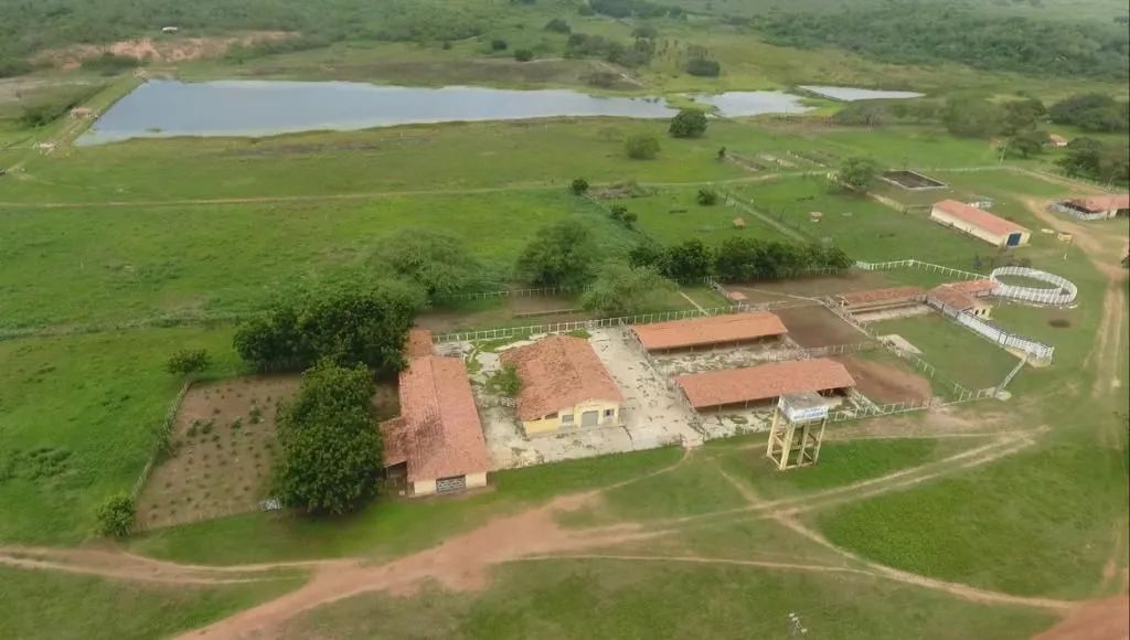 Fazenda | Venda | 713 Hectares - Foto 2