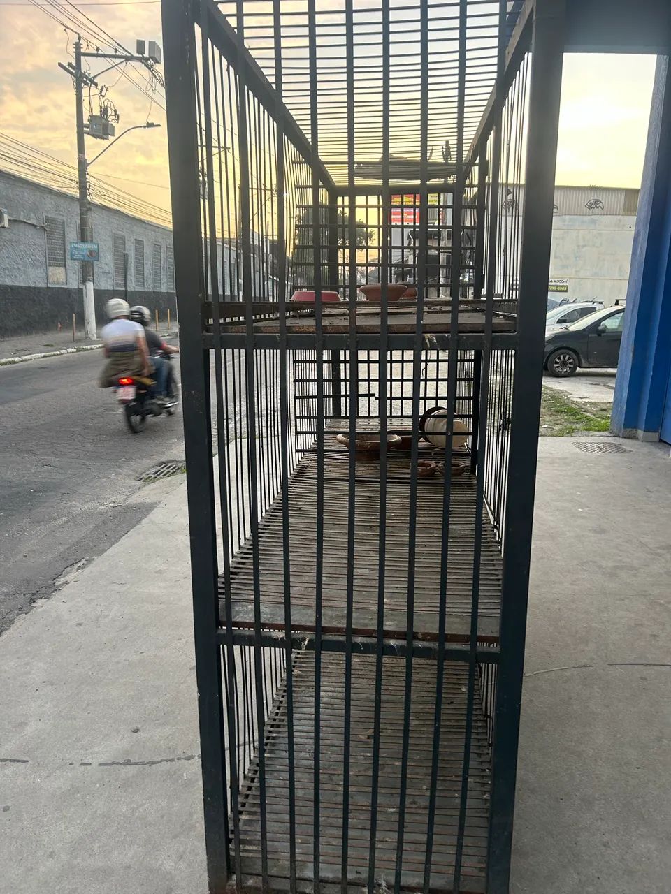 Viveiro para criação de animais  - Foto 4