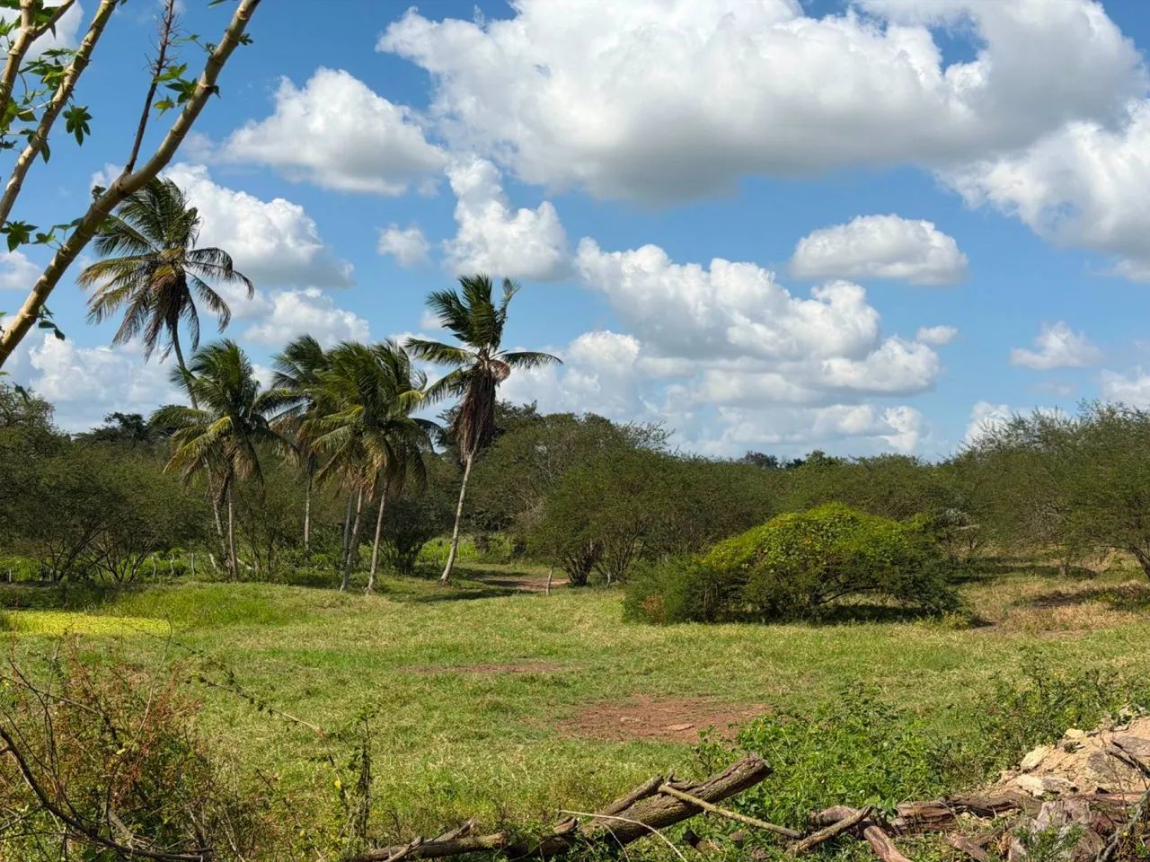 SÍTIO À VENDA  POVOADO CAATINGA REDONDA - Foto 3