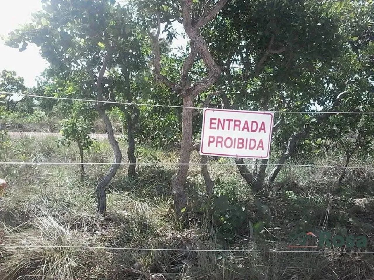 Área com 10.000m², RECANTO PAIAGUAS, Cuiabá - Foto 3