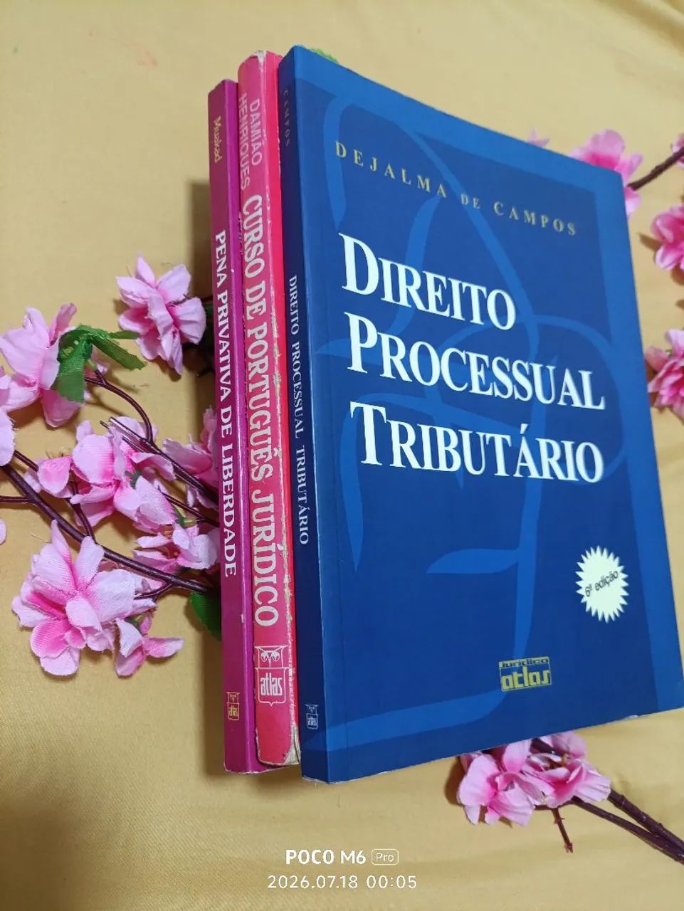 Livros de Português jurídico |Direito processual penal| Pena privativa da liberdade. - Foto 3