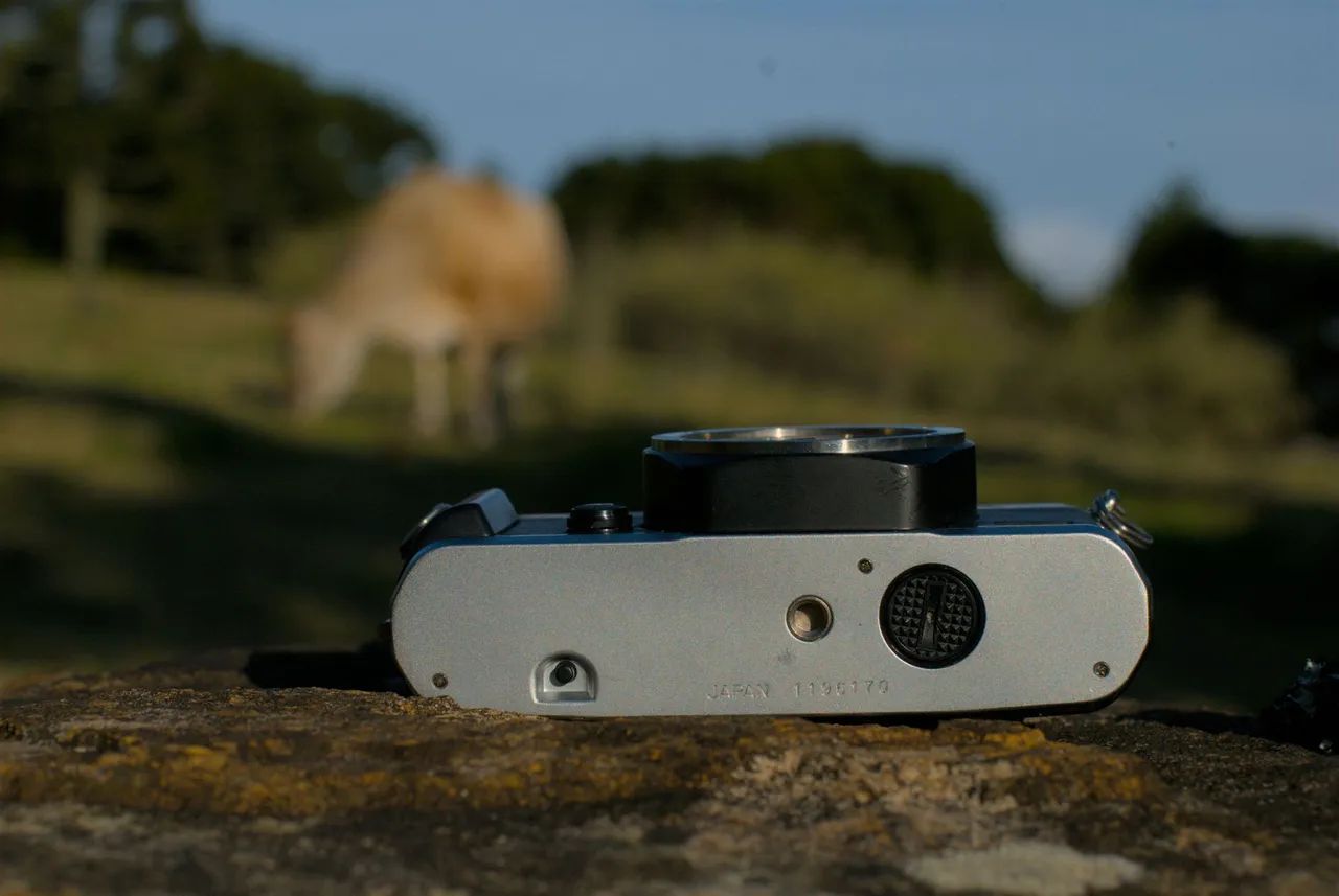 Yashica FX-7 Super - Foto 3