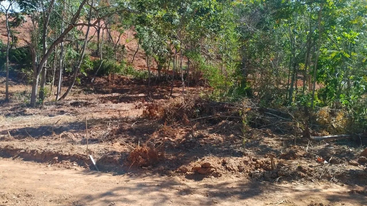Chácara 1000m² - Foto 3