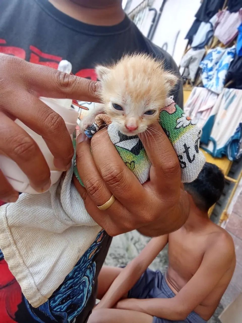 Adoção responsável  - Foto 5