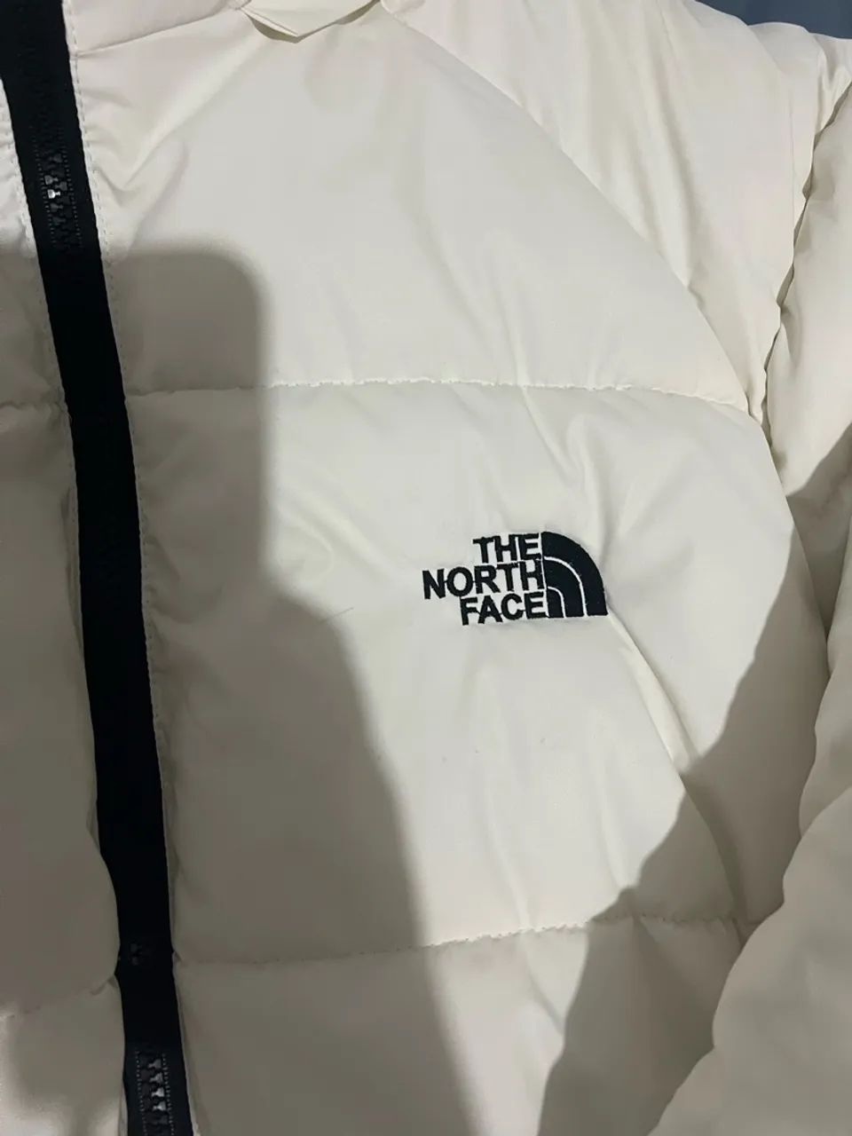 Casaco The north face 