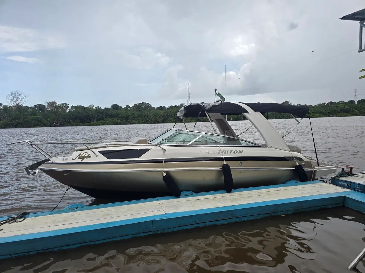 Lancha Triton 230 