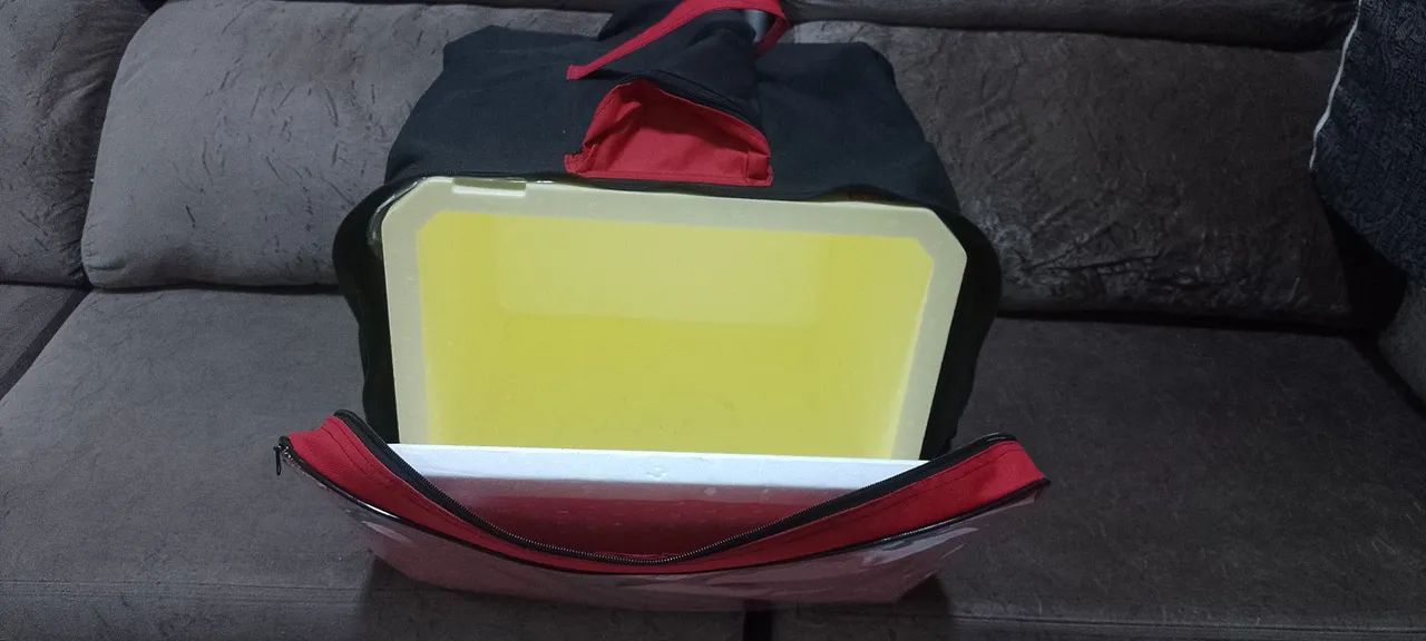 Bag Para Entregadores - Foto 4