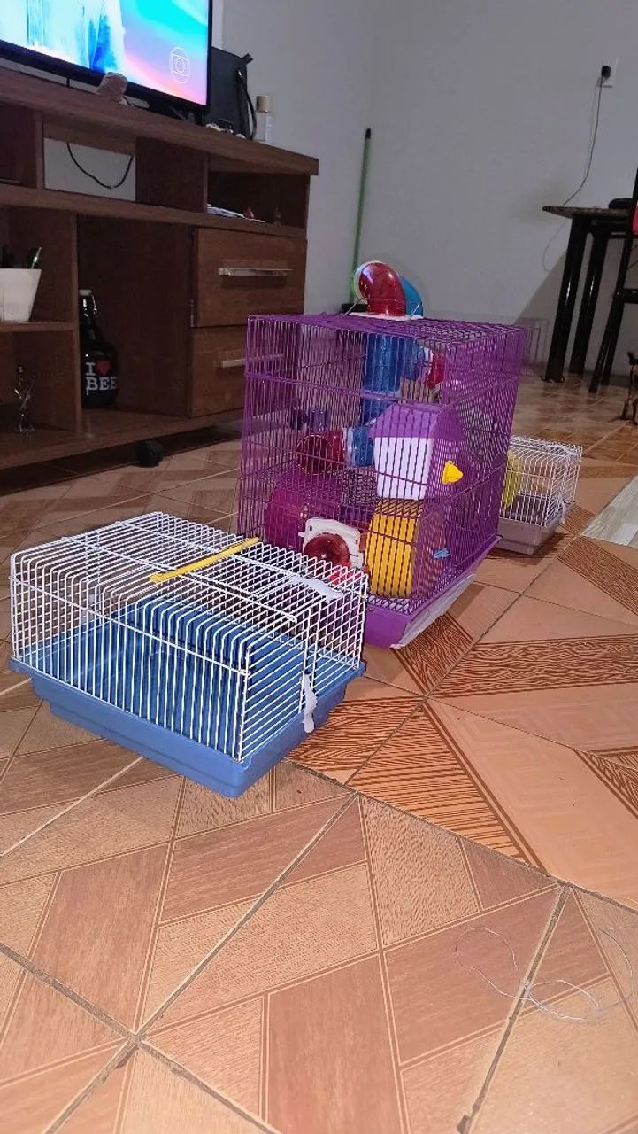 3 Gaiolas para hamster - Foto 2