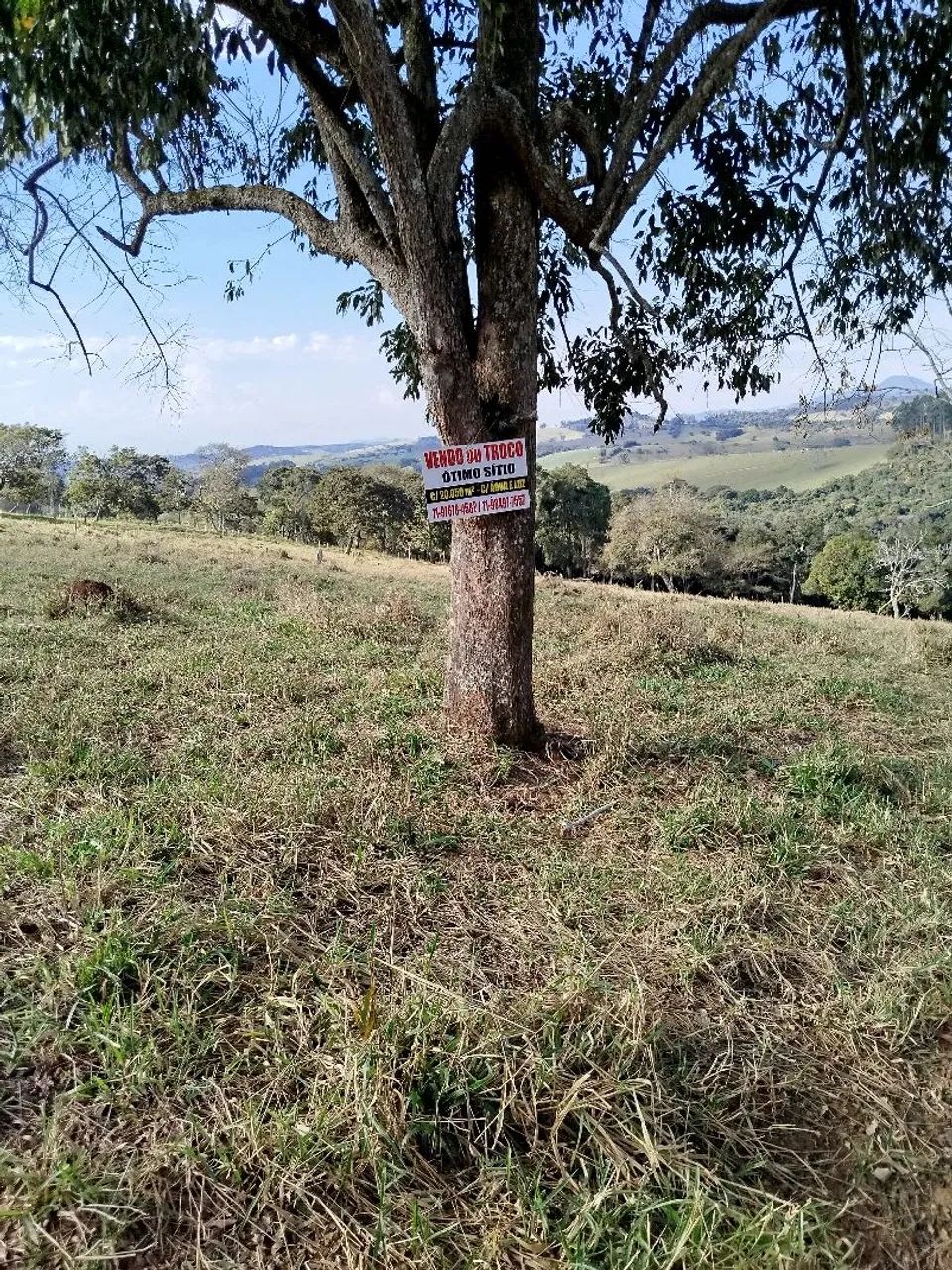 Vendo excelente Sítio no Sul de Mg.