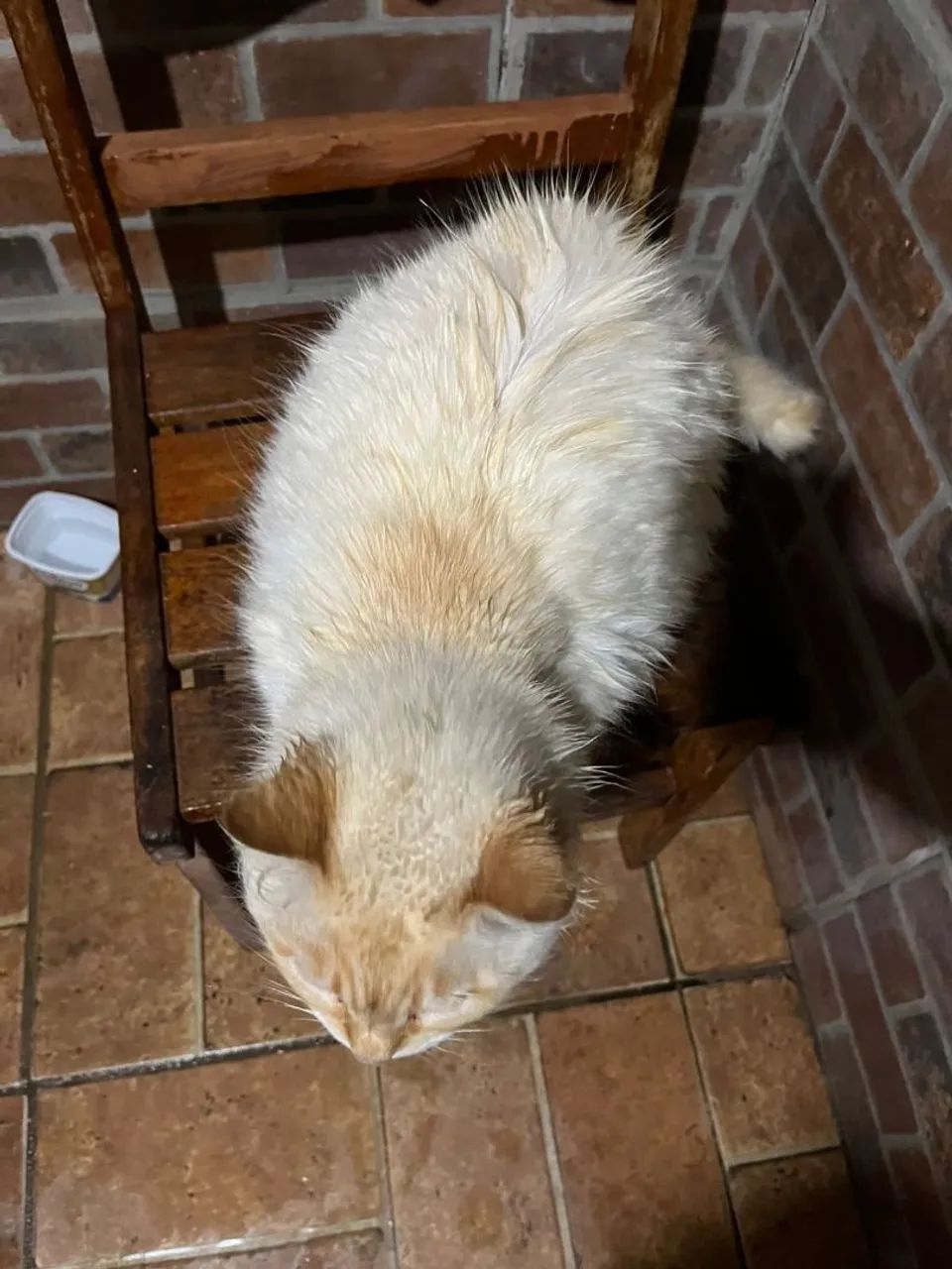 Doa se gata  - Foto 2