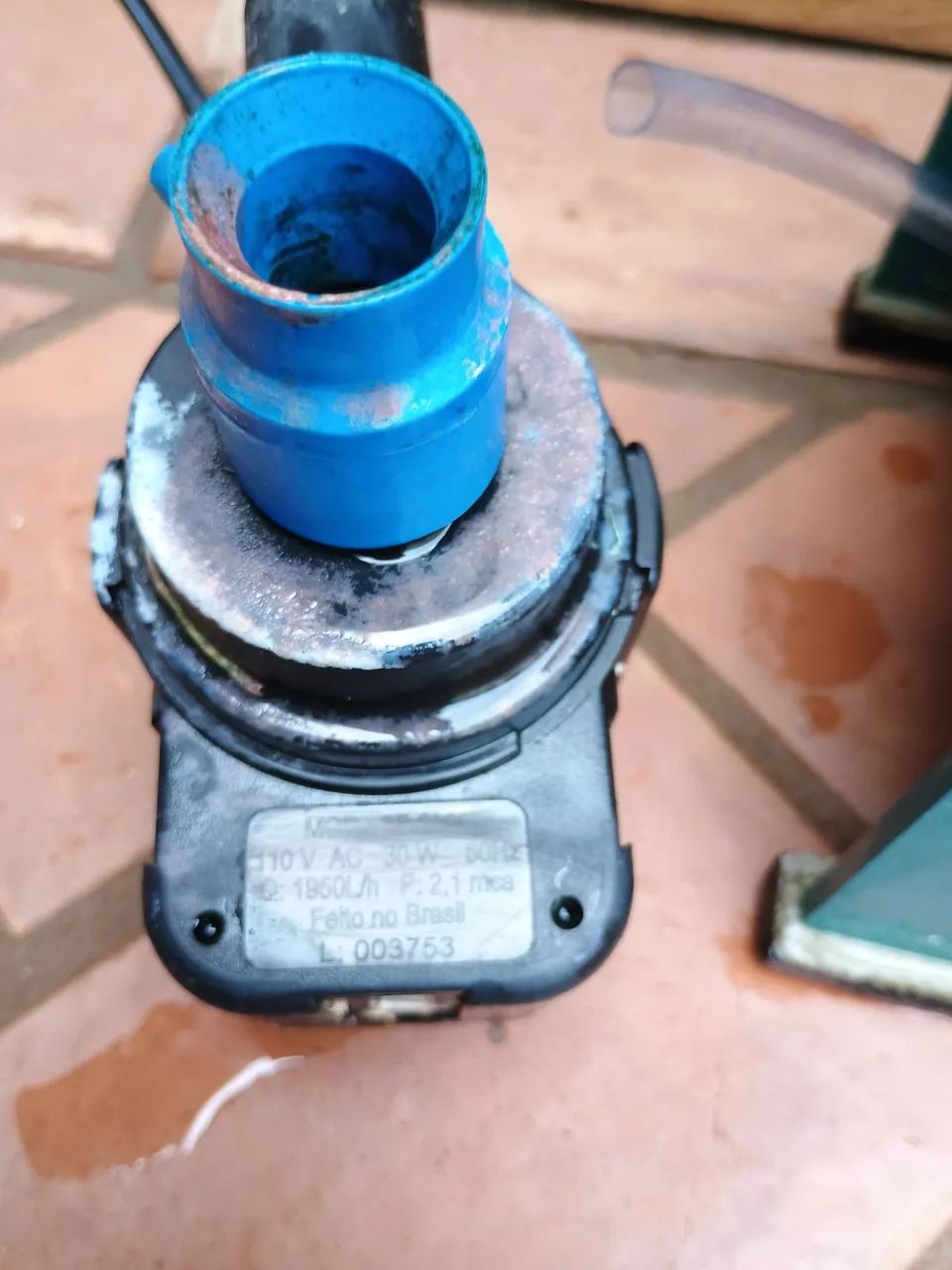 Skimmer aquário marinho  - Foto 3