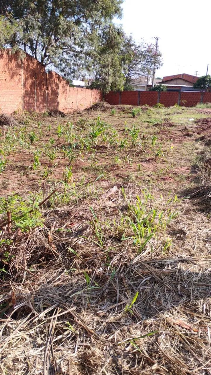 Foto - Pederneiras - 