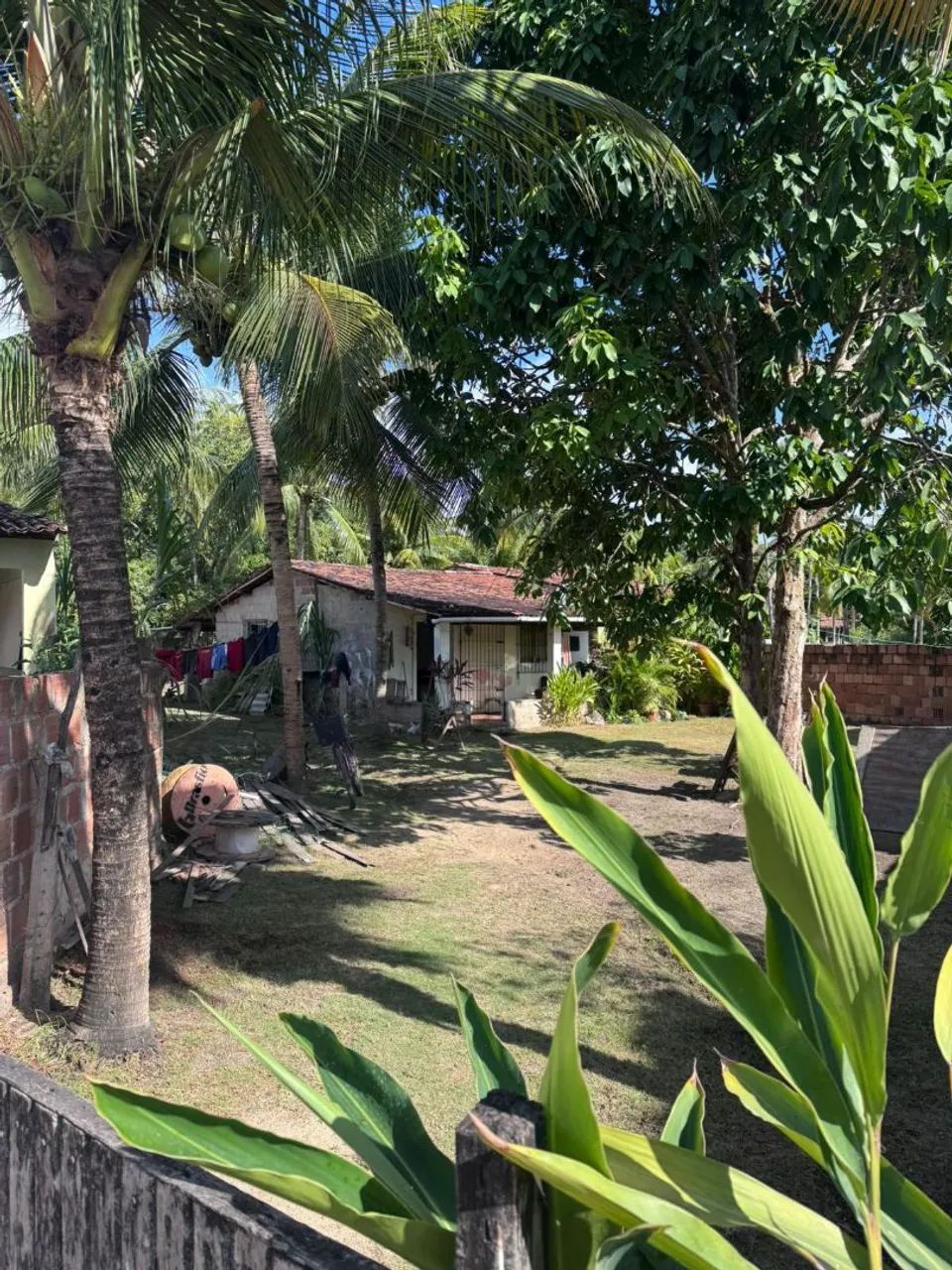 Terreno à Venda com uma Casa Construída em Tamandaré-PE  - Foto 3