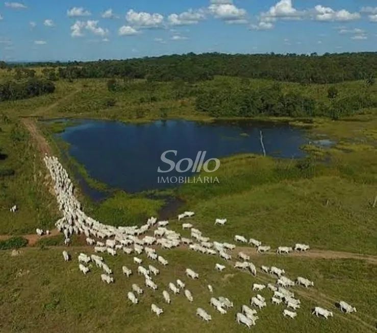 Venda Fazenda DOURADINHO