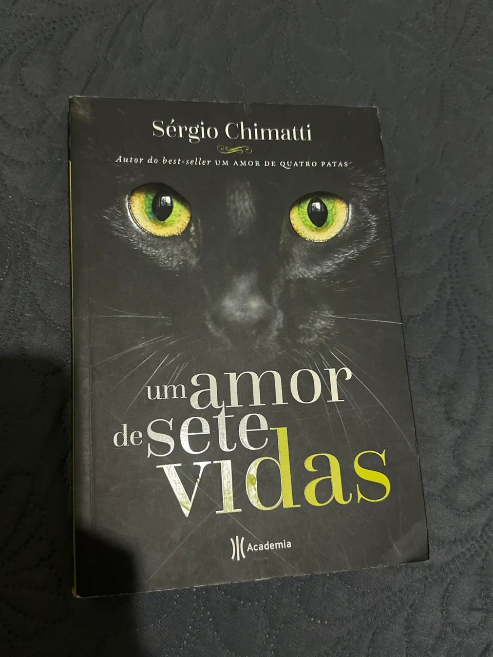 Um amor de sete vidas