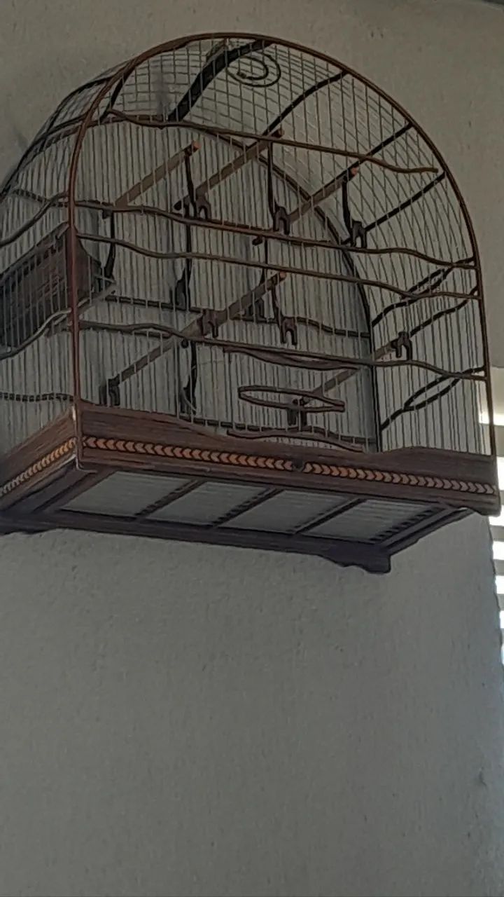 Gaiola de torneio - Foto 3