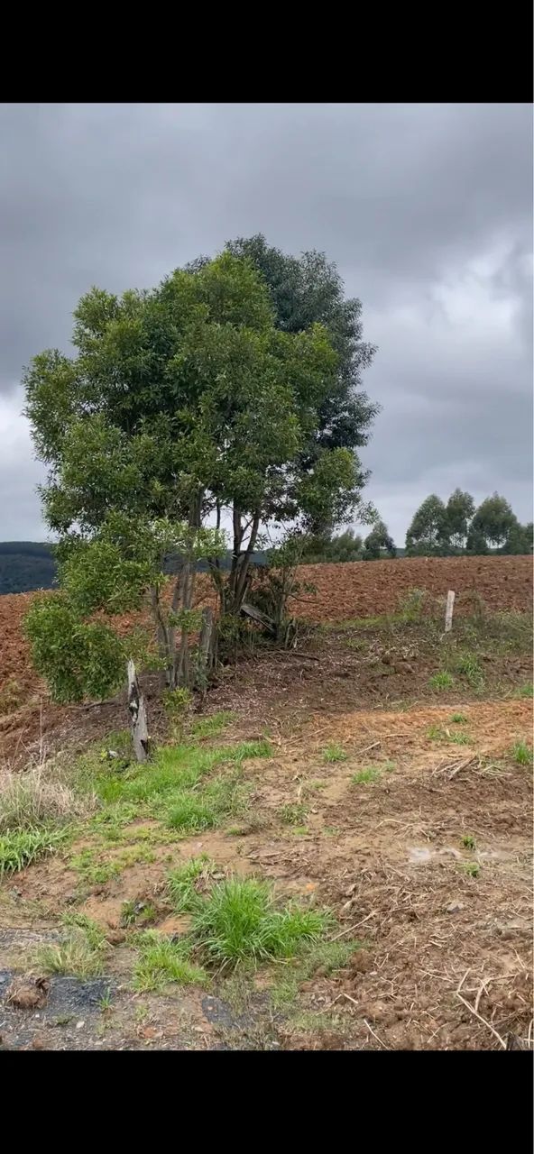 Venda área rural 1 há.  - Foto 5