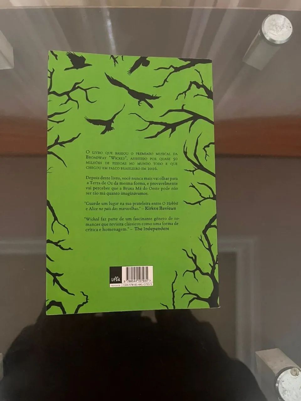 Livro Wicked - Foto 3