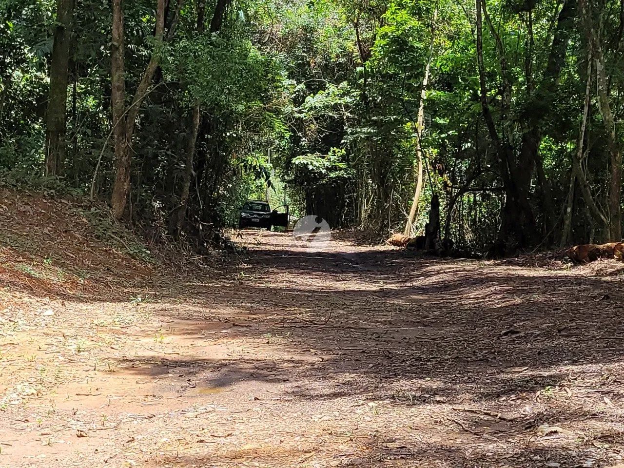 Terreno à Venda em Honório Bicalho - Foto 4