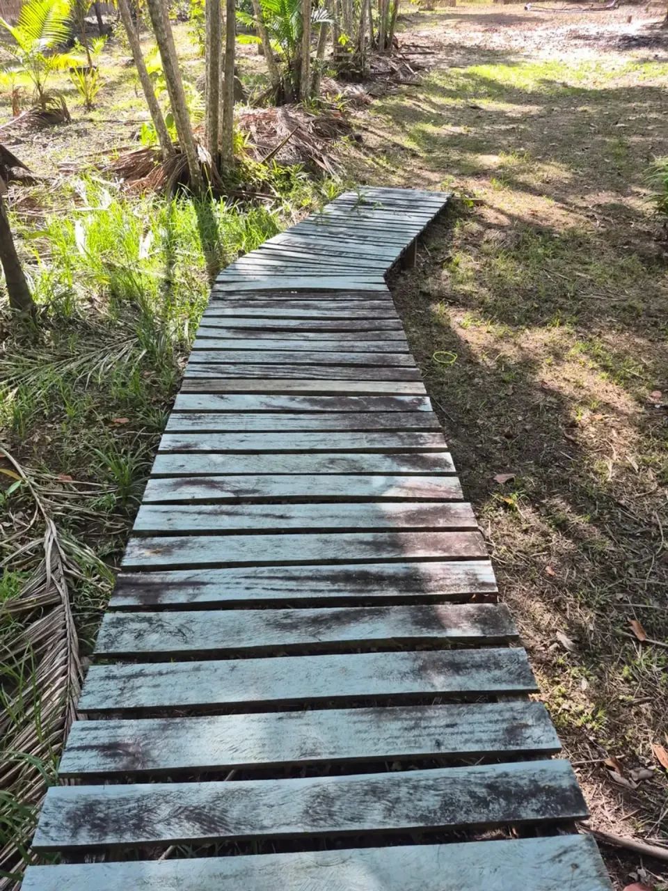 VENDA DE TERRENO COM IGARAPÉ - Foto 2