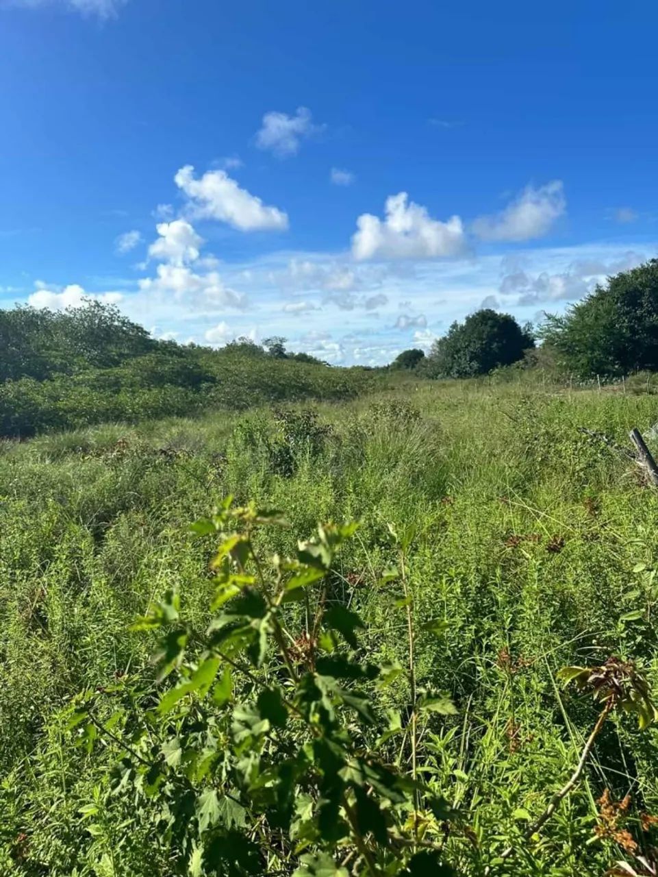 Terreno em Pirambu-Se 20 X 40 