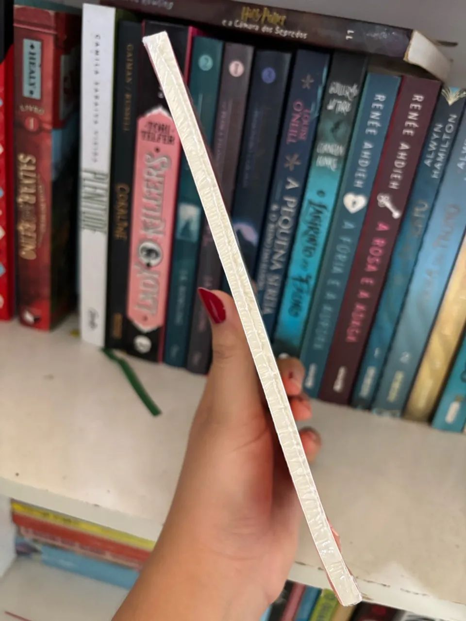 Livro - Foto 4