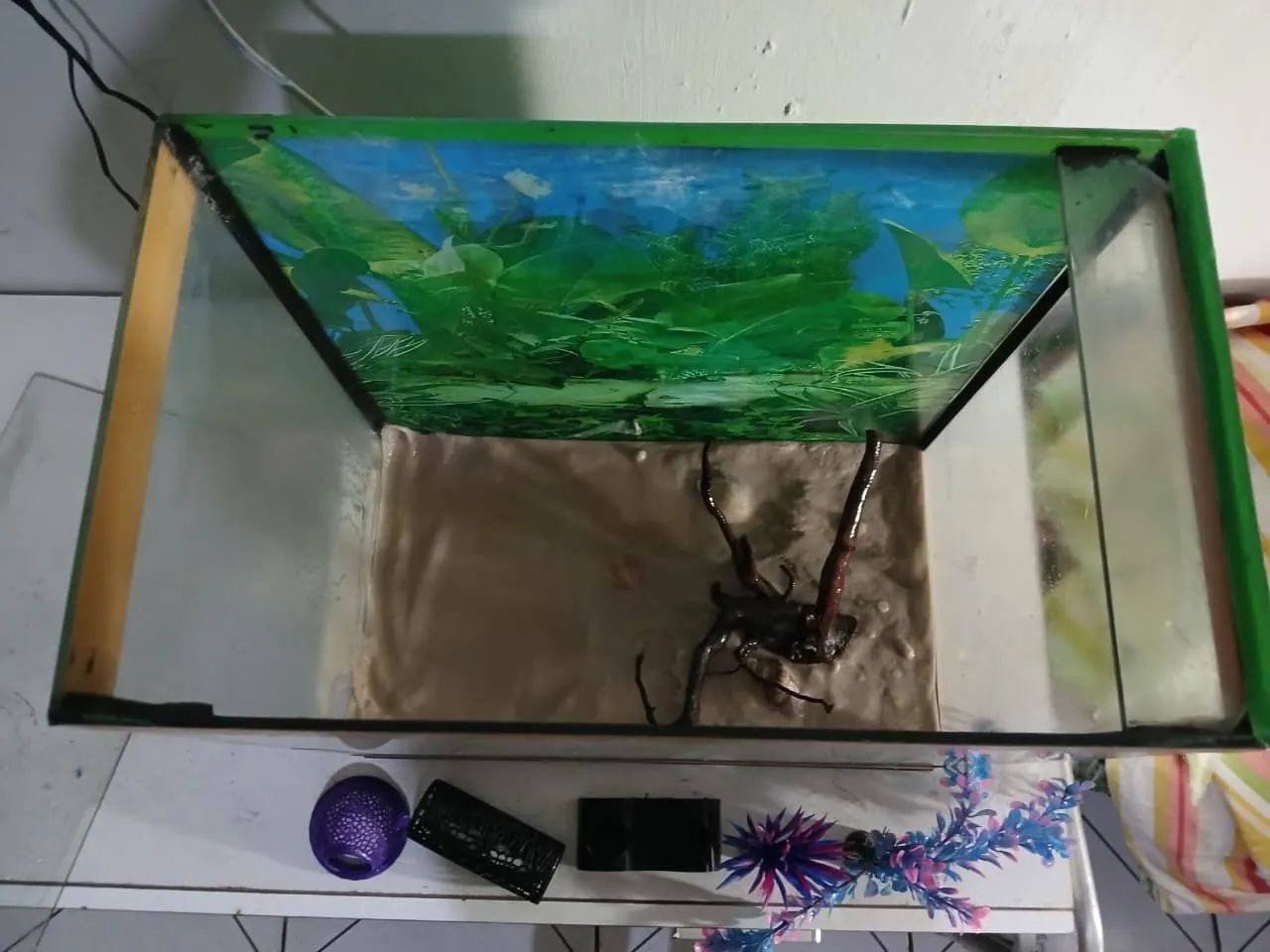 Aquário perfeito 20L - Foto 4