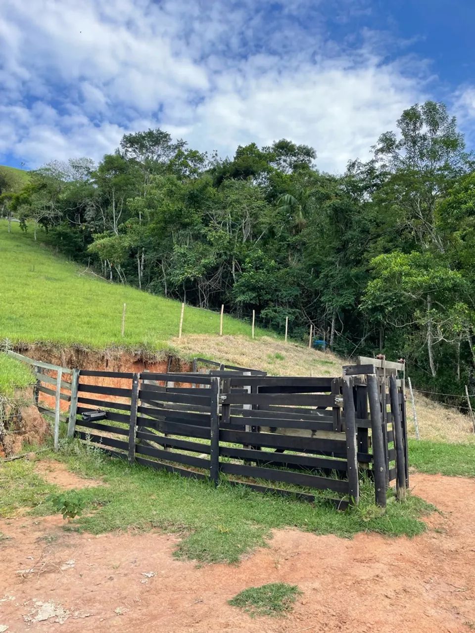 Sítio sjc vender ou alugar  - Foto 5