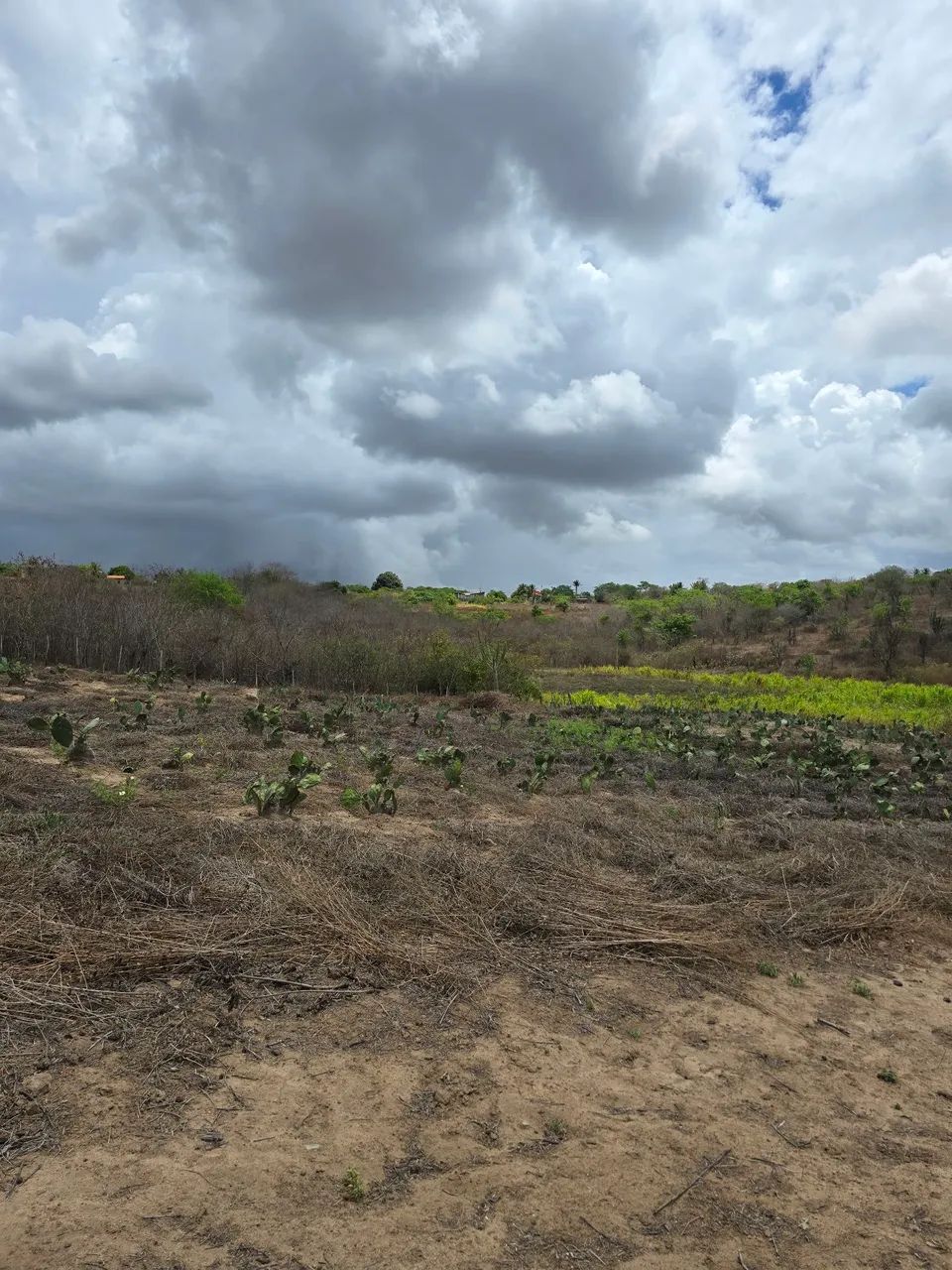 06 HECTARES  - SÃO JOSÉ DA MATA - Foto 2