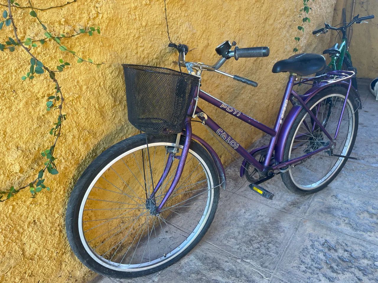 Bicicleta estilo Vintage