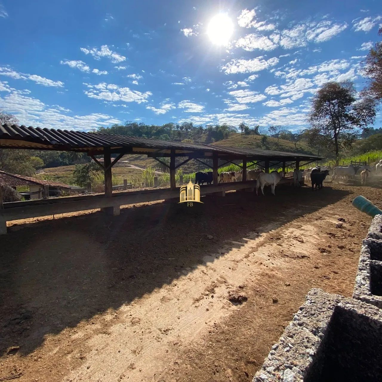 FAZENDA 68 HECTARES - FLORESTAL/MG - Foto 2