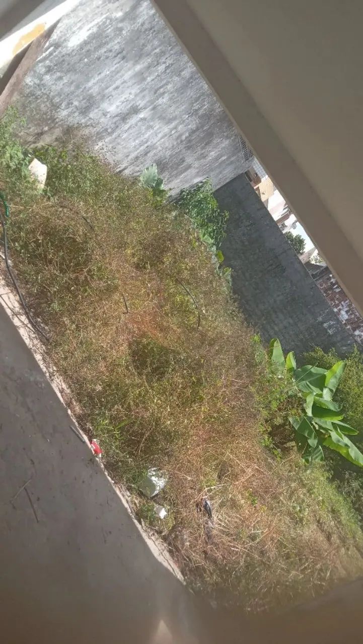 Limpeza na roçadeira 