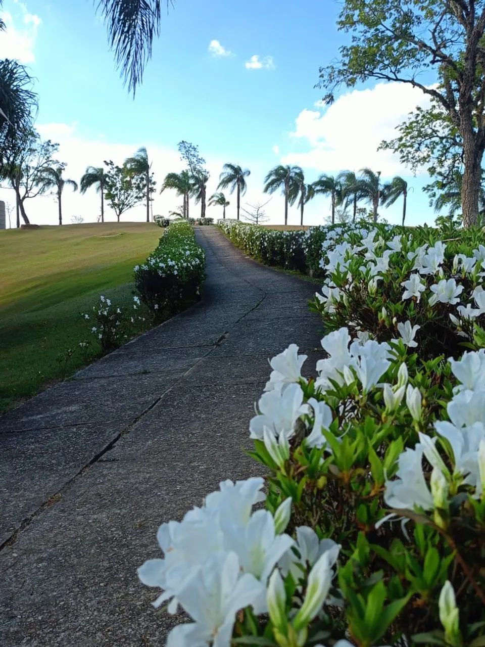 Vendo jazigo Cemitério Parque das Garças - Foto 3