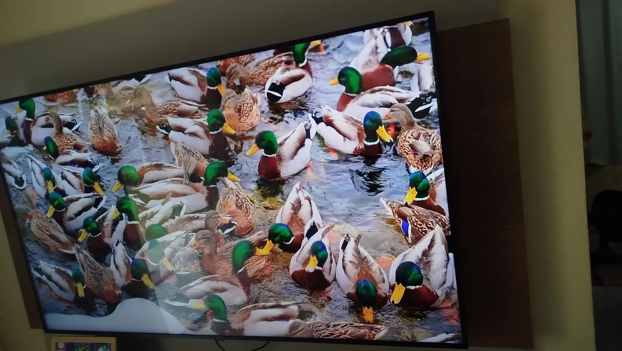Tv LG 65 polegadas 