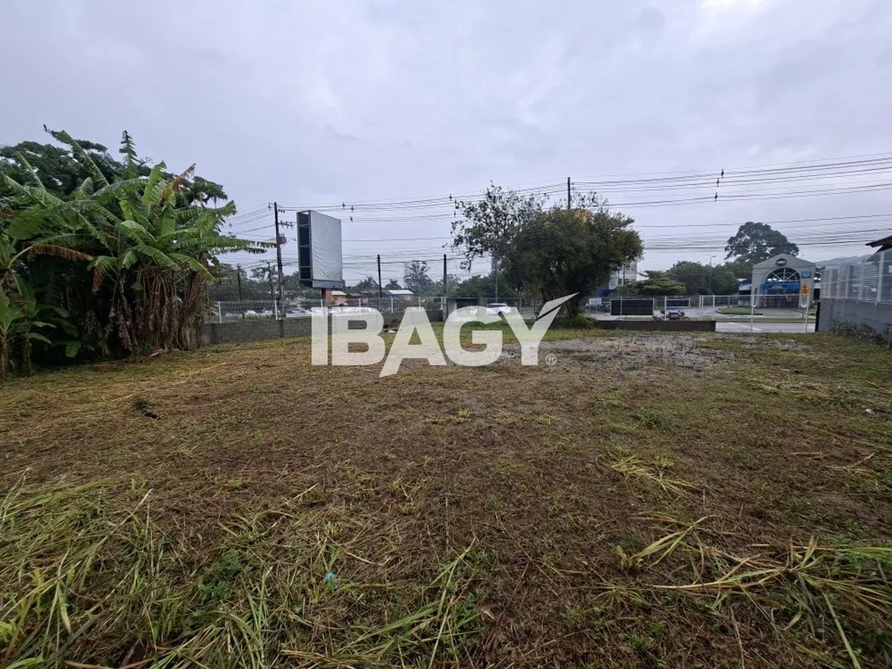 Oportunidade! Terreno em Rio Tavares - Florianópolis - Foto 4