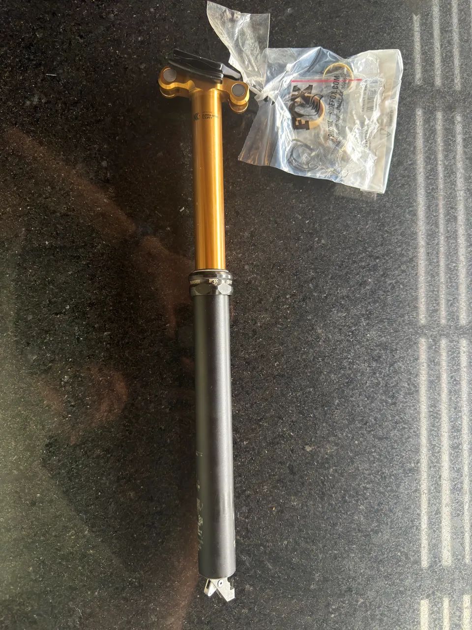 Canote Fox Transfer Kashima