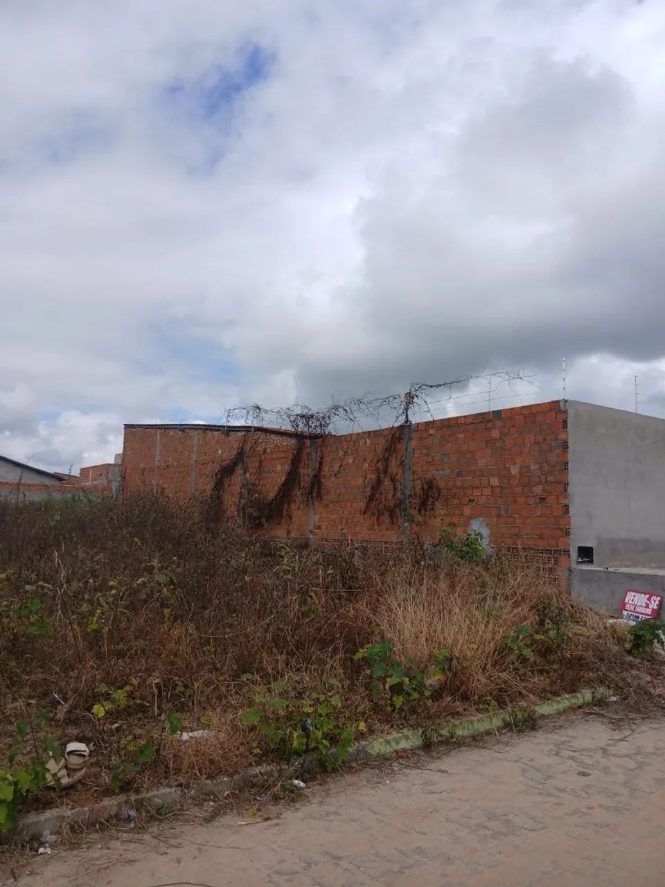 Terreno em Coruripe  - Foto 4