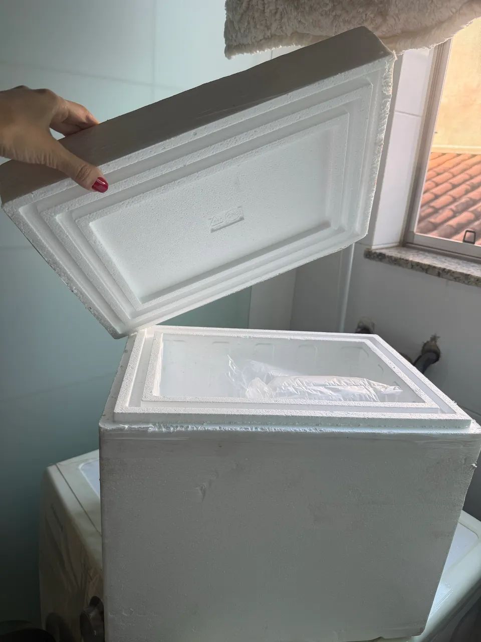 Caixa de isopor - Foto 2