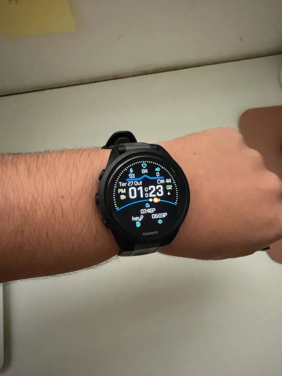 GARMIN FORERUNNER 165