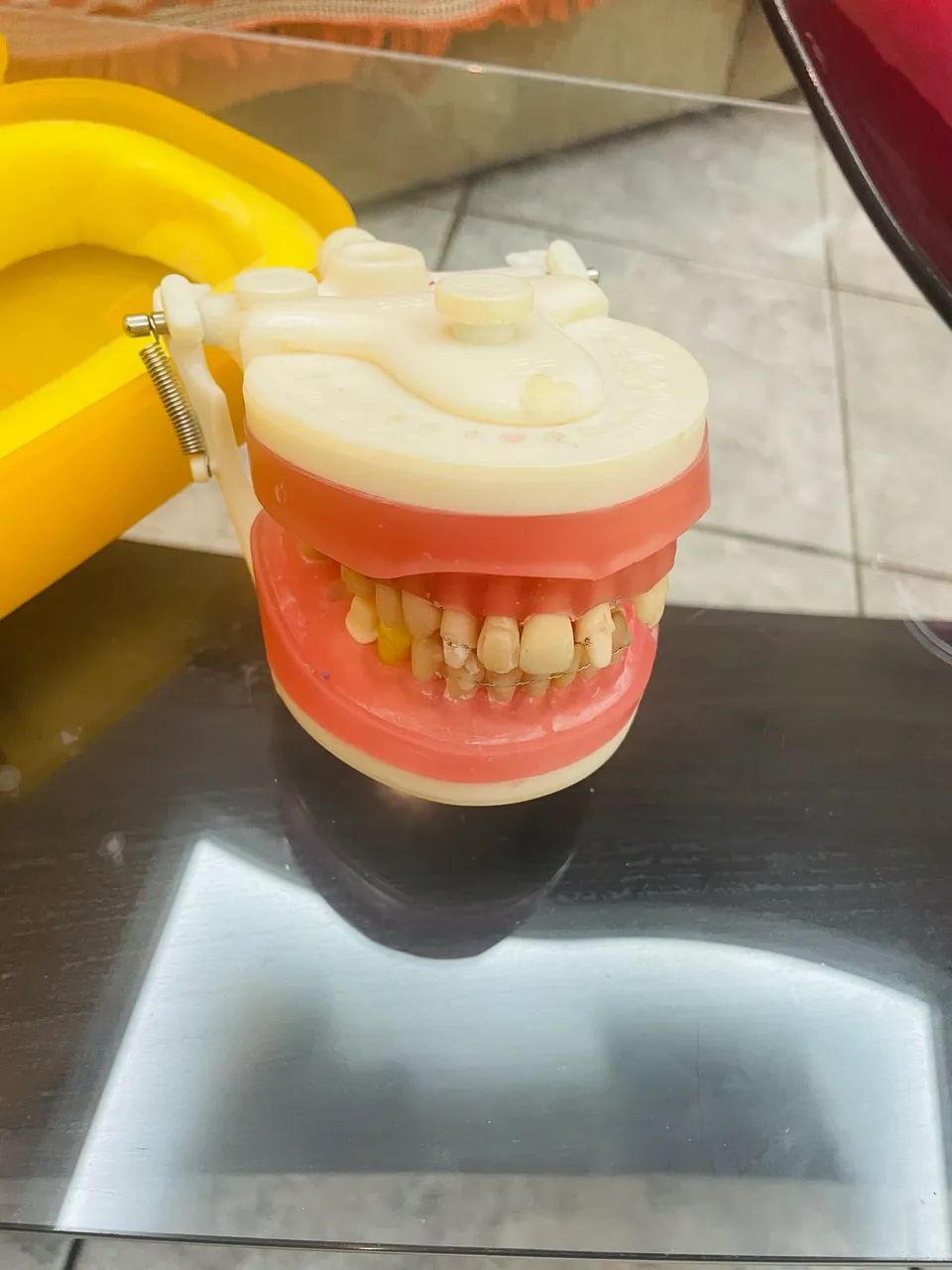 Manequim Odontológico  - Foto 5