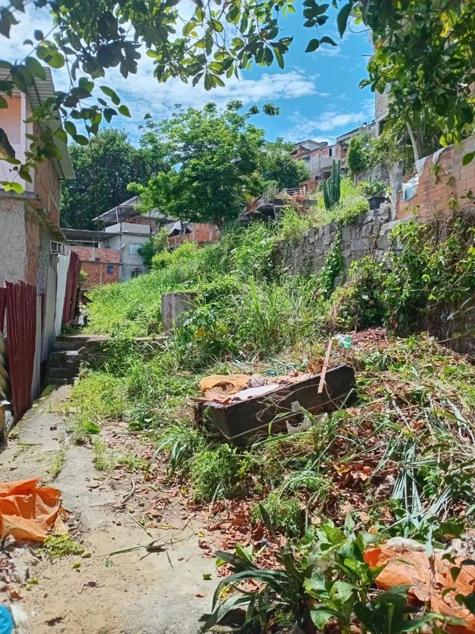 Terreno