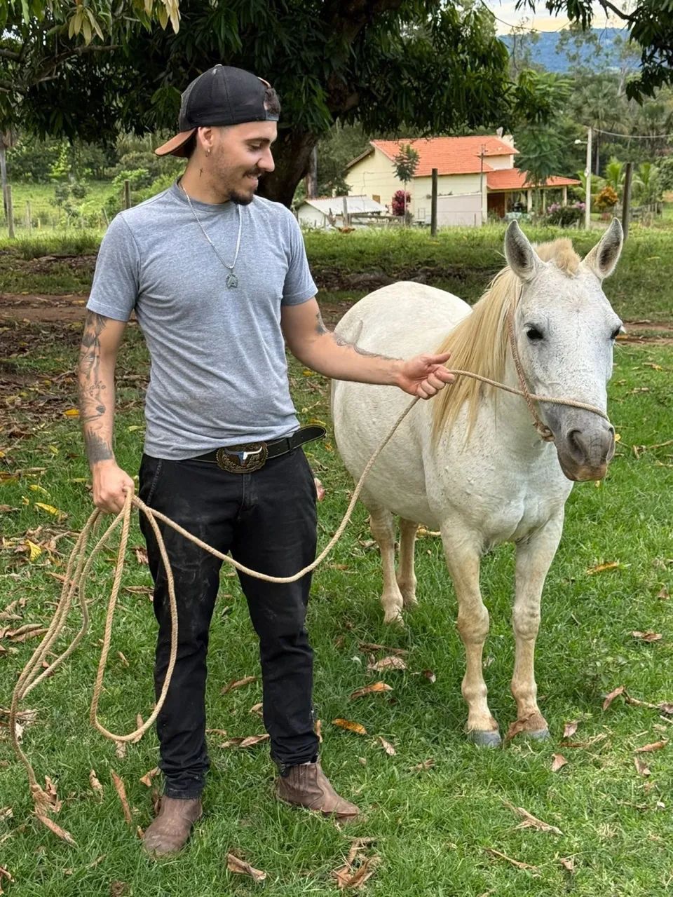 Pônei mansinha  - Foto 2