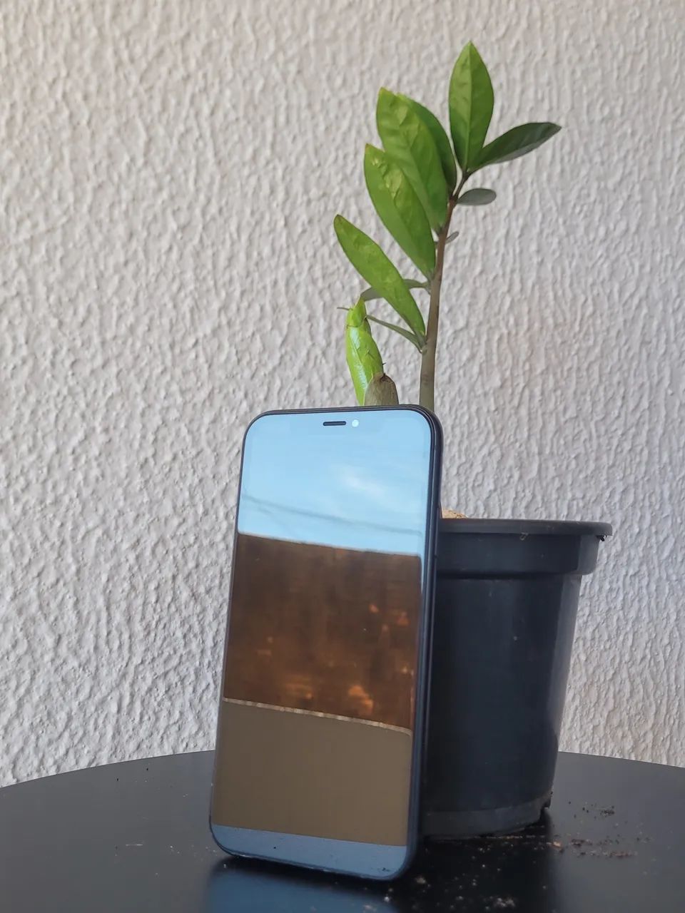 iPhone XR Barato - Foto 4