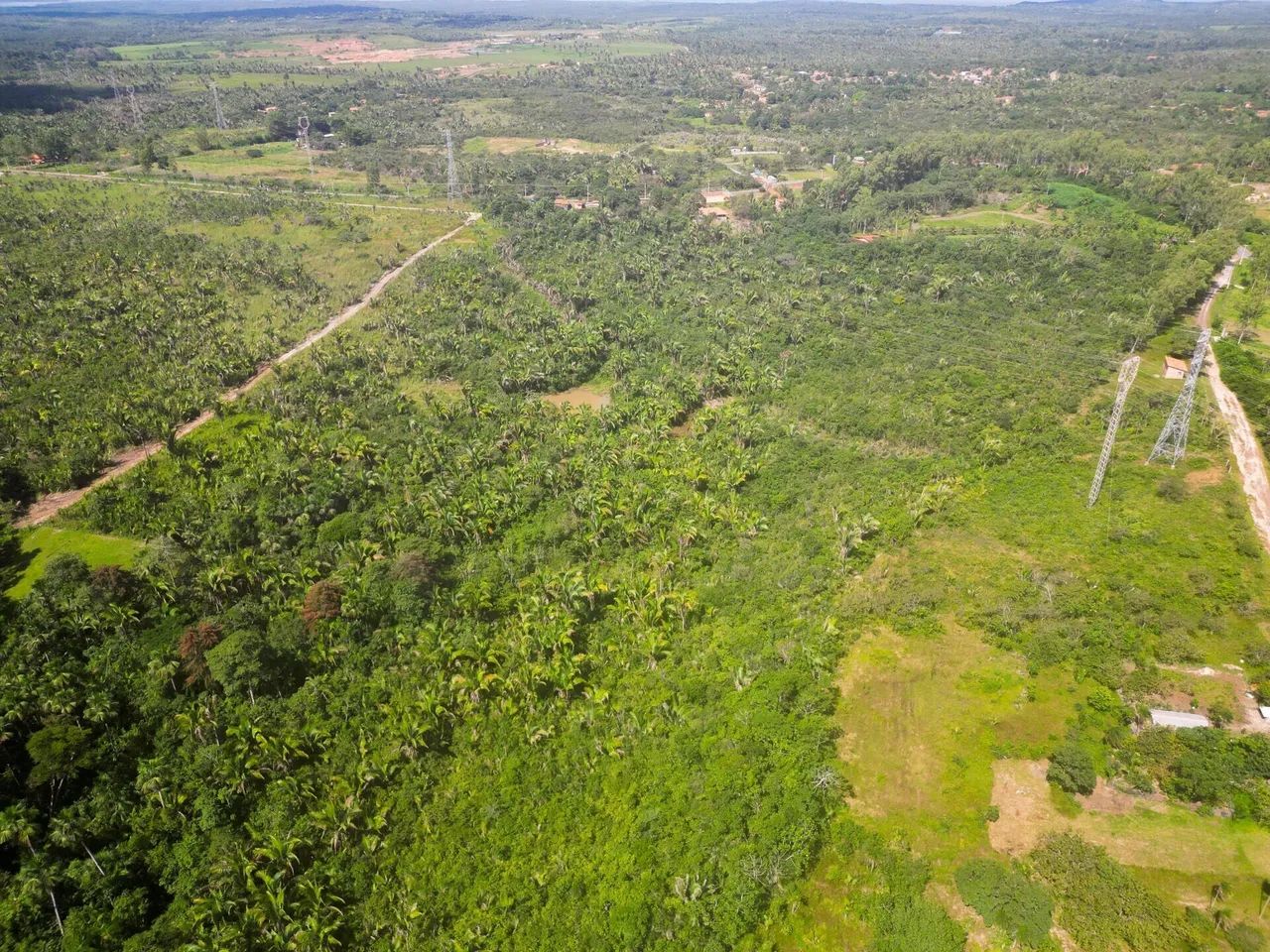 Chácara com mais de 10Hec para venda em São Luís - Foto 3