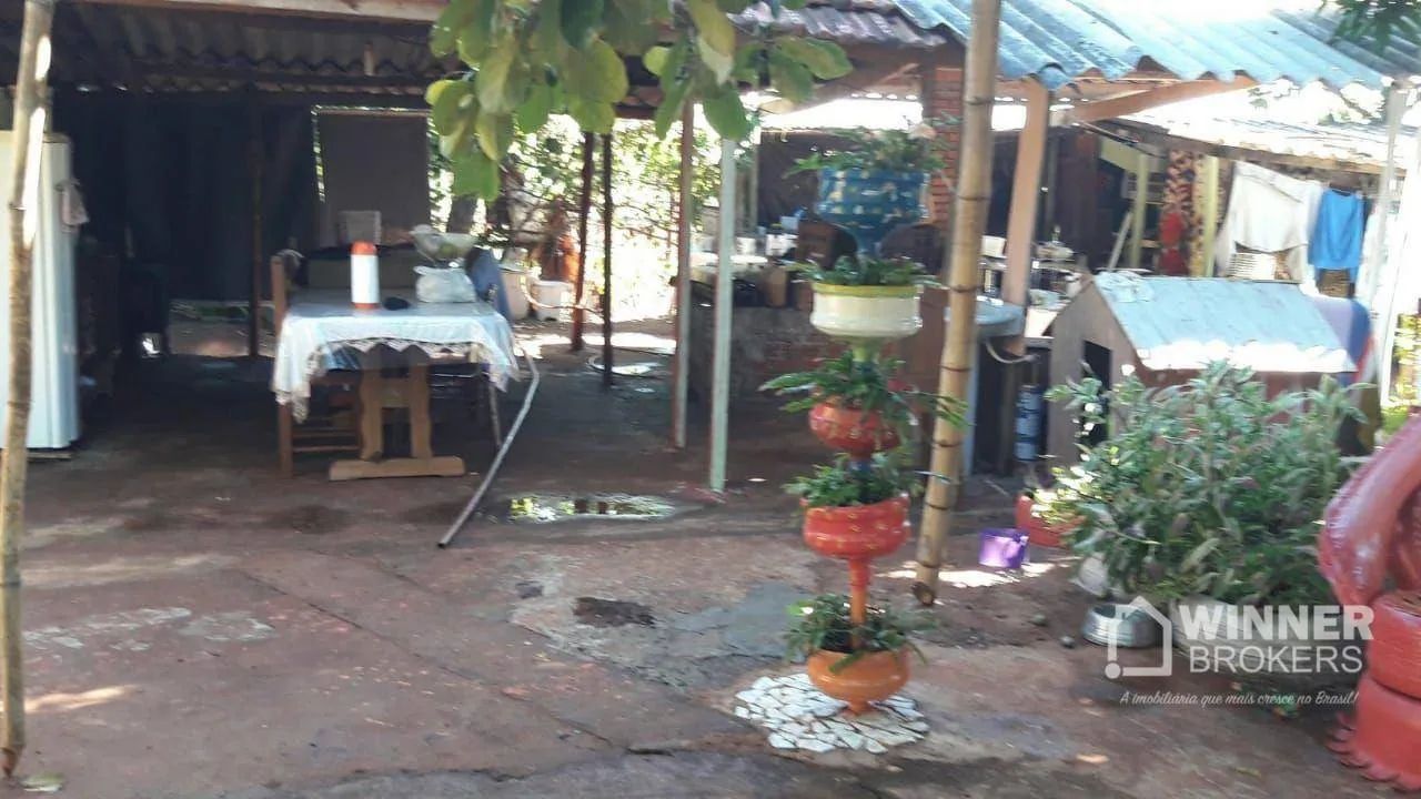 Chácara com casa e mina de água mineral em Sarandi - PR - Foto 3