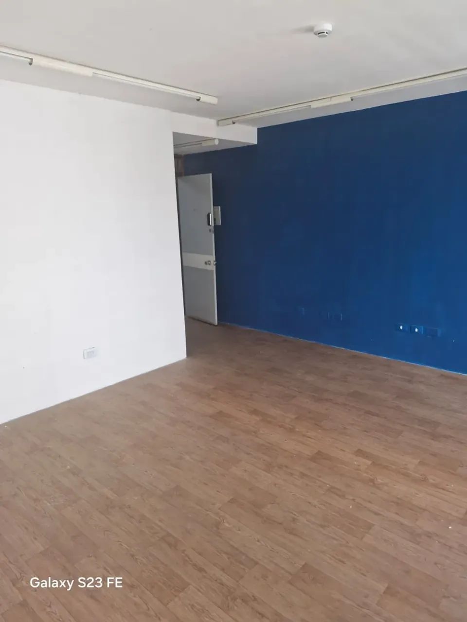 SALA COMERCIAL PARA ALUGAR | ILHA DO LEITE - Foto 2