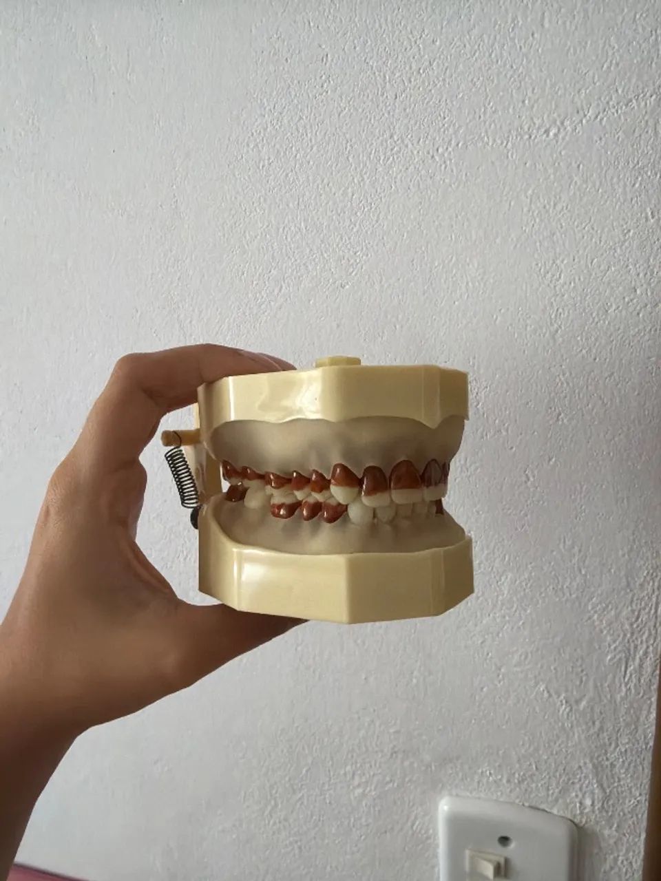 manequim