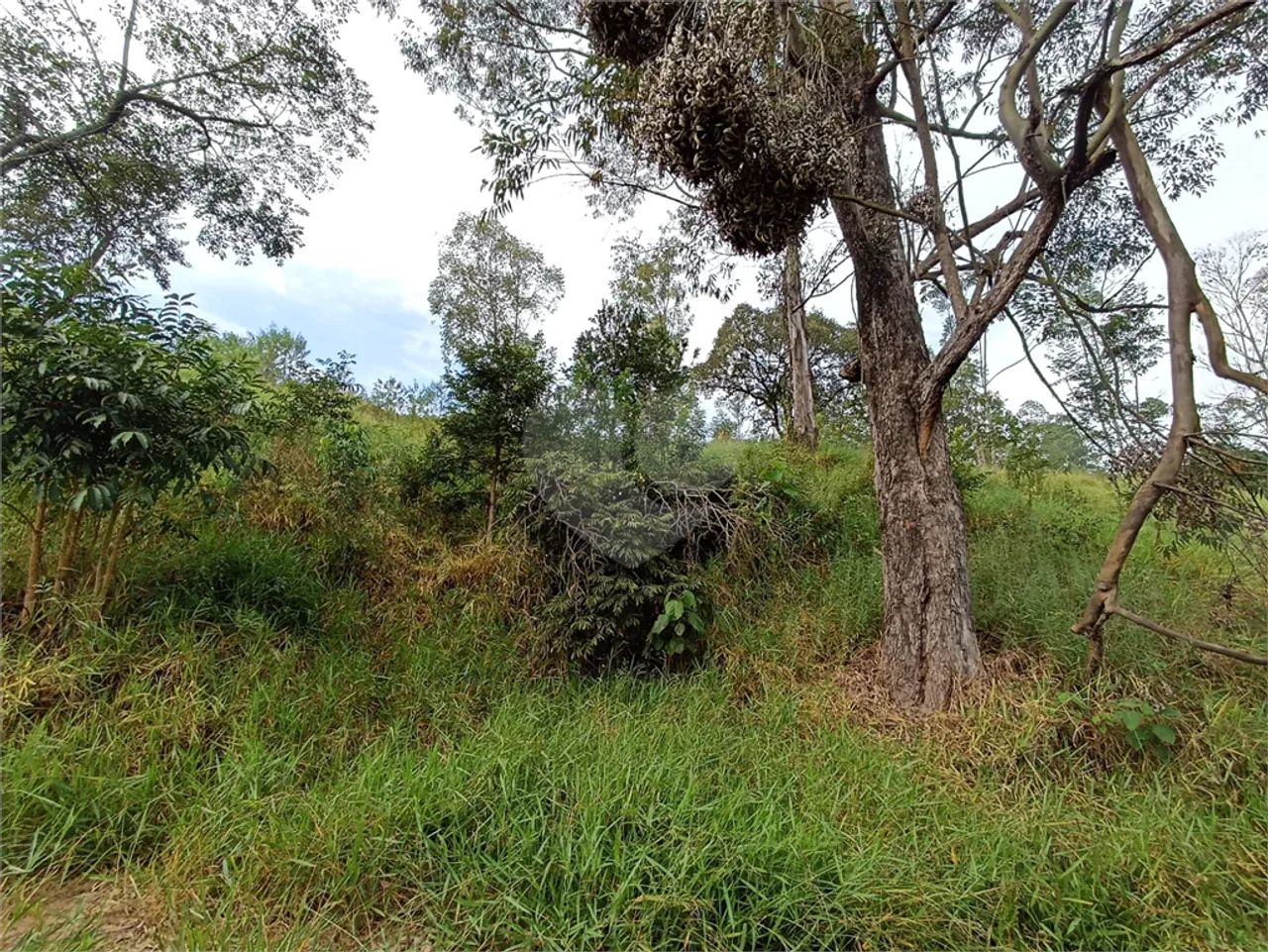 Terreno à venda em Jardim monte santo - SP - Foto 3