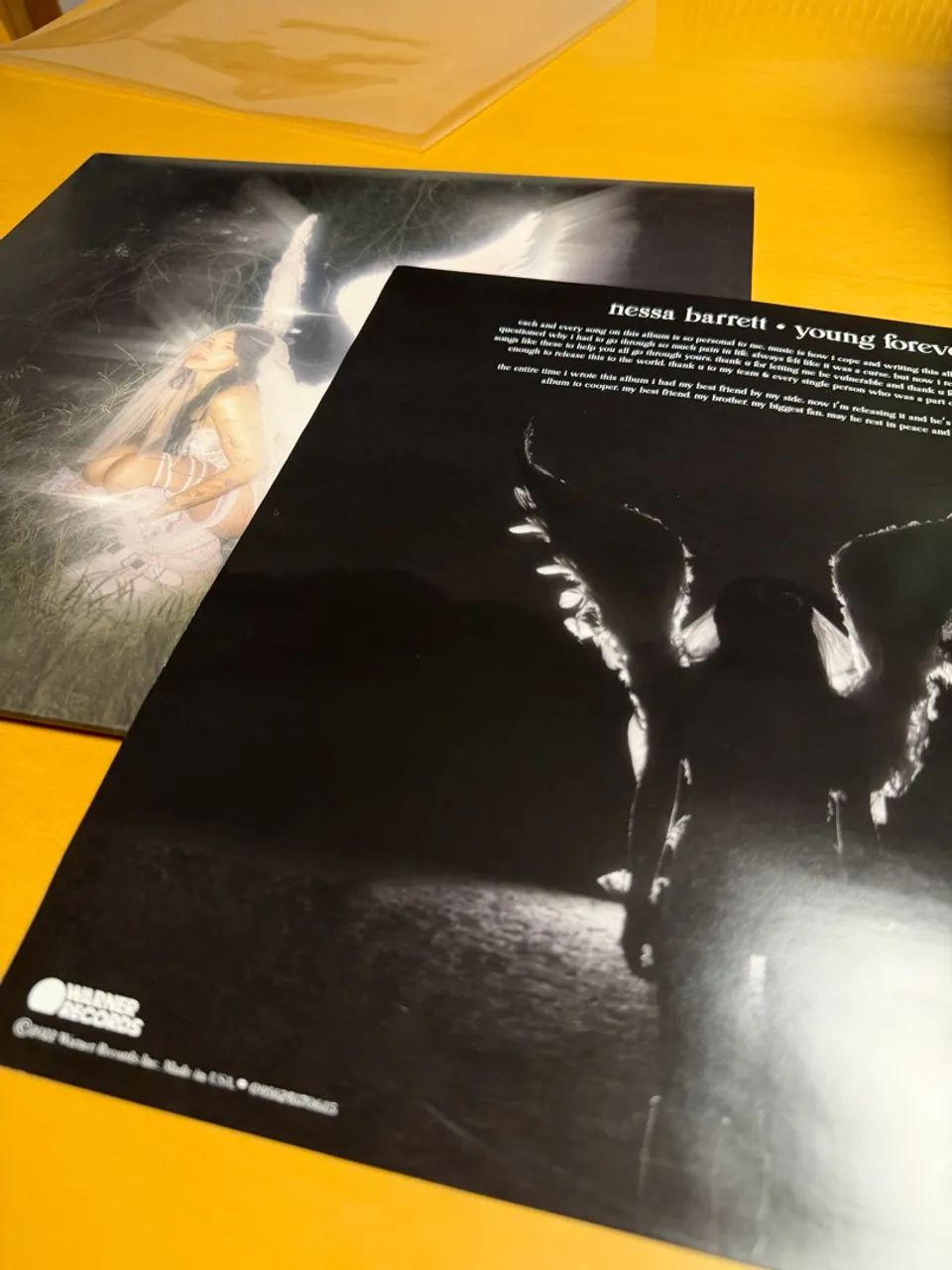 VINIL YOUNG FOREVER ROSA - NESSA BARRETT - Foto 4