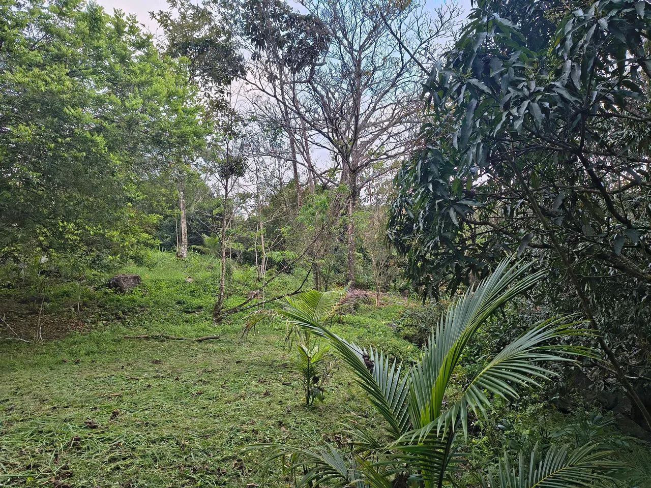 Foto - Jaboatão dos Guararapes - Piedade